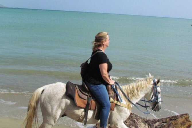 Amazing 3-Hour Horseback Riding at Puerto Plata with Pickup - Transport, guides, and the rustic setup