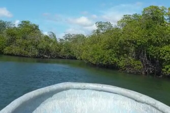 Amazing Paradise Island + Snorkeling-Mangrove Tour & Locale Food. - A short look at rural Estero Hondo