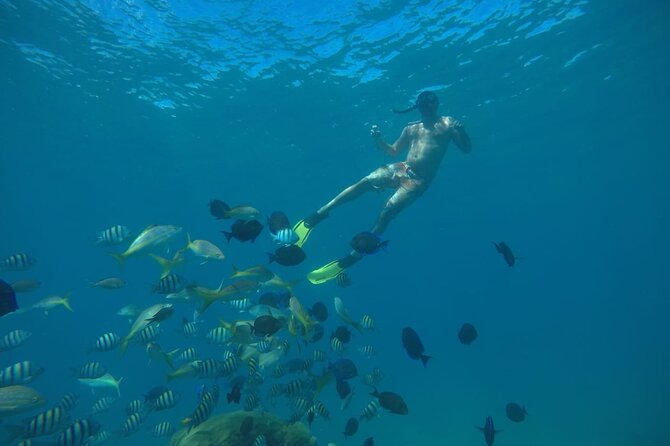 Amazing Paradise Island + Snorkeling-Mangrove Tour & Locale Food. - Dominican lunch at Punta Rucia Beach