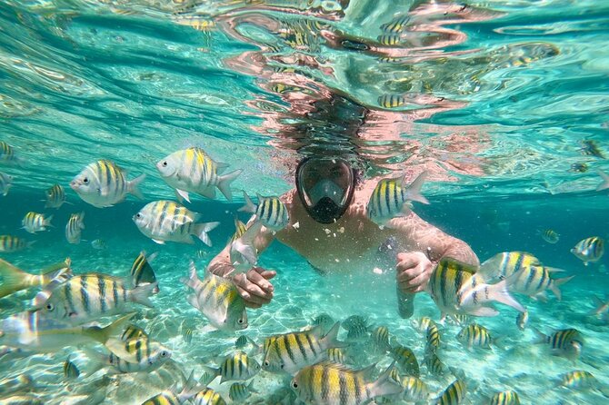 Amazing Paradise Island + Snorkeling-Mangrove Tour & Locale Food. - Practical packing advice for a smoother day