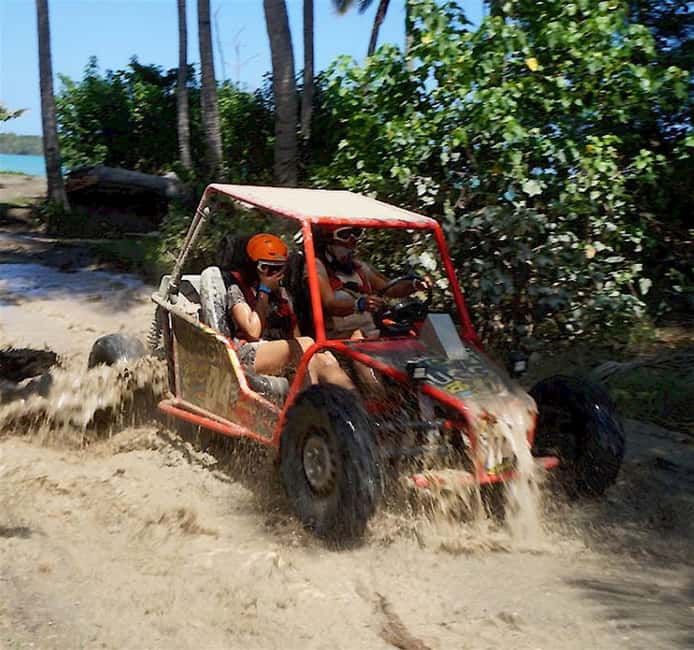 Amber Cove and Taino Bay Shore Excursion: Buggy Tour - What past praise tells you about the guiding