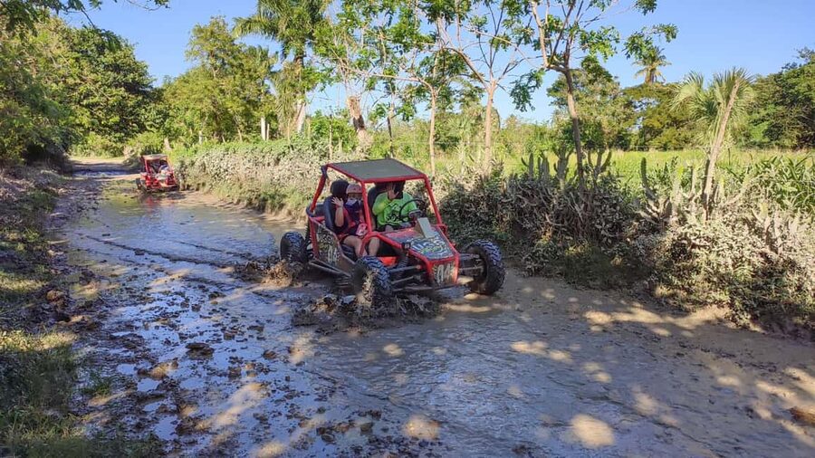 Amber Cove & Taino Bay: Buggy Tour with Swimming & Tasting - Who Will Enjoy This Puerto Plata Outing
