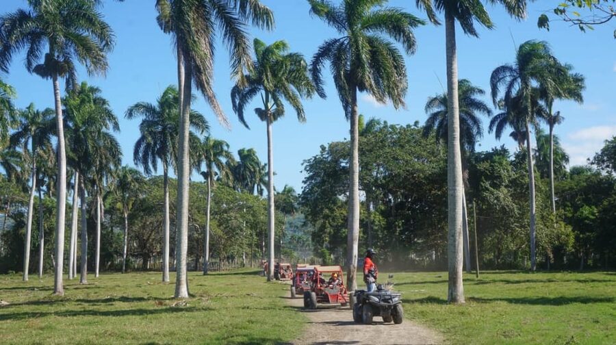 Amber Cove - Taino Bay Super Buggy 4 Seaters Tour - The cigar factory and Dominican flavors