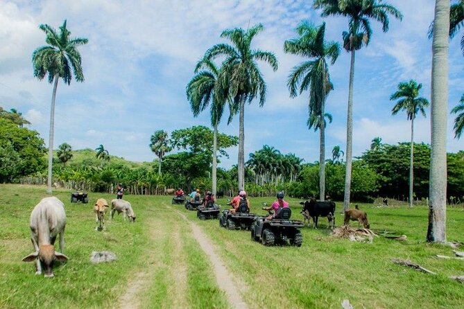 ATVs Fun Tour from Amber Cove and Taino Bay Puerto Plata - Who will enjoy this ATV tour most?
