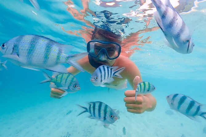 Bacardi Island Excursion with Catamaran, Beach and Lunch - Why Cayo Levantado Makes This Day Worthwhile
