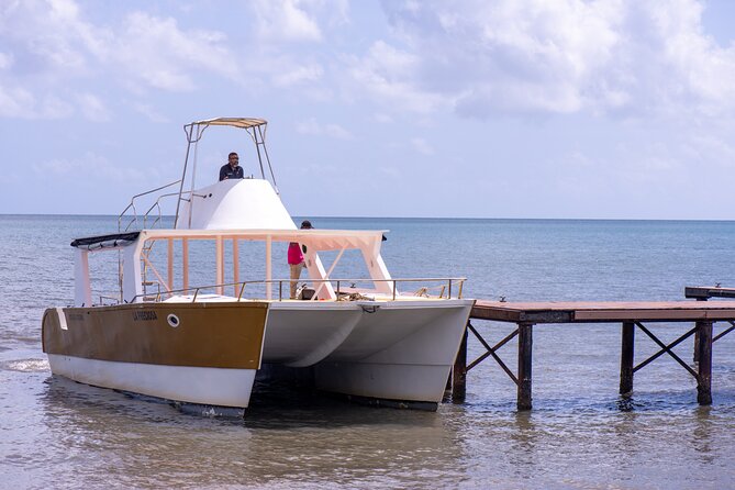 Bacardi Island Excursion with Catamaran, Beach and Lunch - Who Should Book This Excursion