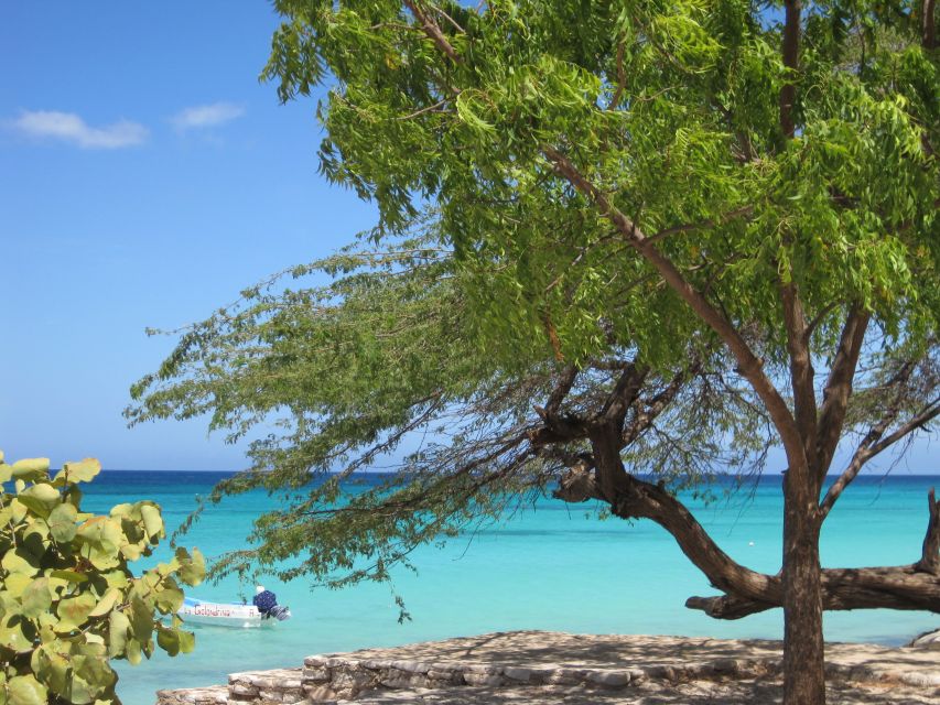Bahía de las Aguilas: Beach Day Trip by Boat - Who should book this day trip?
