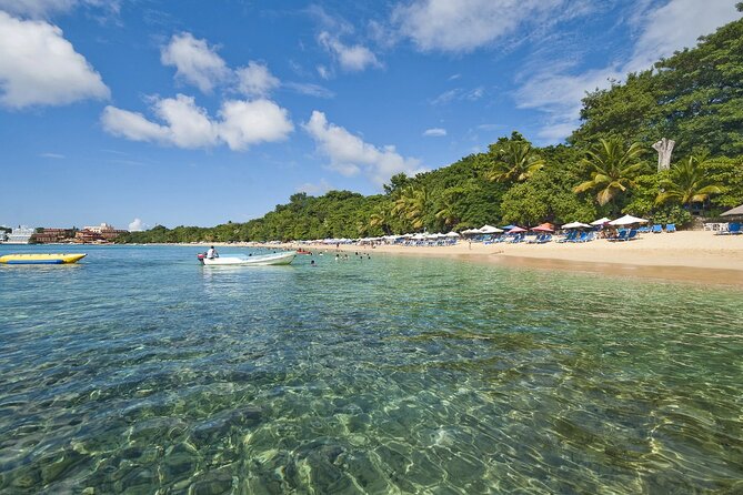 Barceló Bávaro Beach - Round Trip Shuttle - Punta Cana Airport - Who will get the most from this shuttle