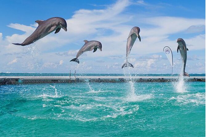 Bavaro Punta Cana EN boat party with drinks and transportation - Final stop: two hours in the natural pool