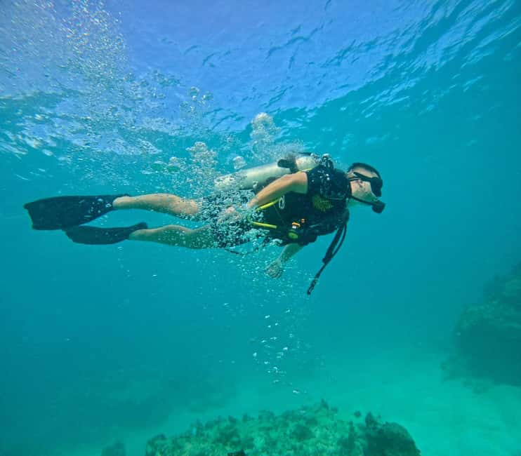 Bávaro: Scuba Diving Experience for Beginners - Key points to know before booking