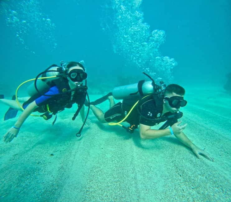 Bávaro: Scuba Diving Experience for Beginners - What this Bávaro scuba experience really offers