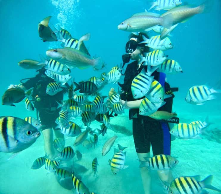 Bávaro: Scuba Diving Experience for Beginners - Learning to breathe underwater