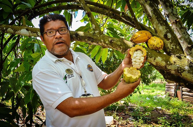 Bayaguana Countryside Safari from Juan Dolio/Boca Chica - Who will enjoy this day most