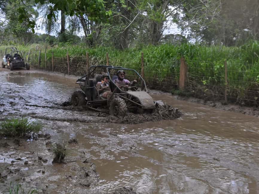 Bayahibe: ATV Buggy Adventure through Jungle & Caves - Who should book this adventure?