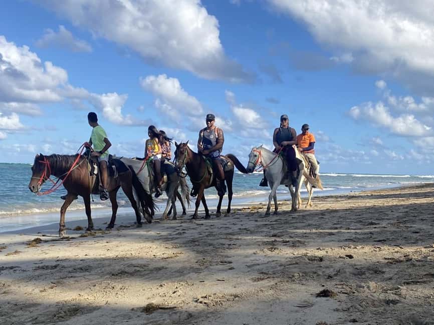 Bayahibe: Buggy and Horseback Riding Tour - Key points at a glance