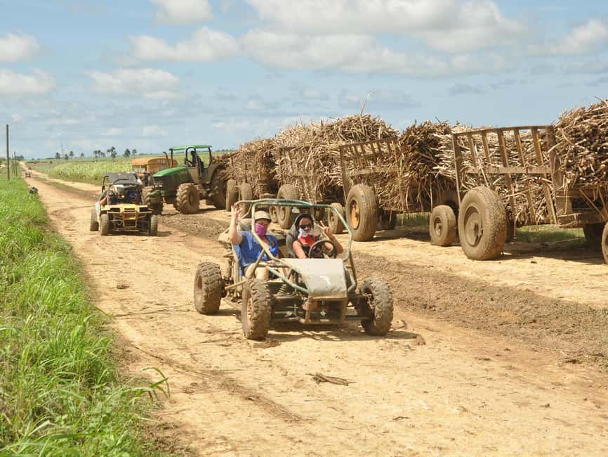Bayahibe: Buggy and Horseback Riding Tour - Why this Bayahibe outing works