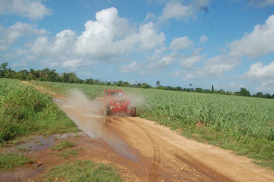Bayahibe: Buggy tour amazing half-day - Sugarcane country, mud, and off-road driving