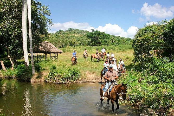 Bayahíbe Horseback Riding & River swimmig - Riding from forest paths to the beach