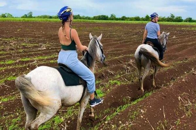 Bayahíbe Horseback Riding & River swimmig - What to pack and how to prepare