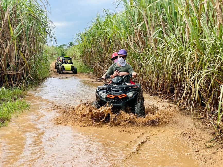 Bayahibe: Jungle Off-Road Buggy Adventure - Banana plants, coffee, chocolate, and Mamajuana