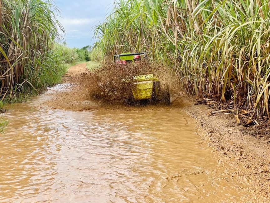 Bayahibe: Jungle Off-Road Buggy Adventure - Sugar cane with a taste of the crop