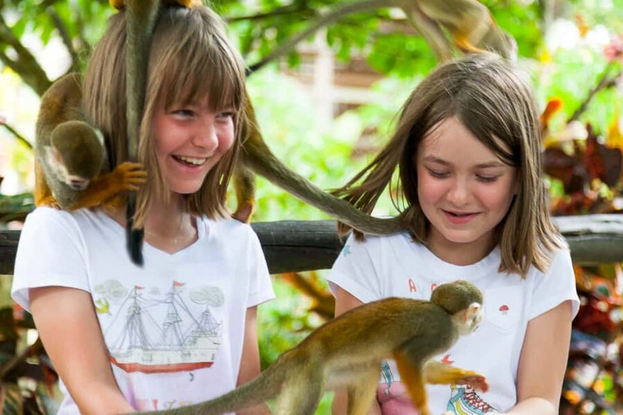 Bayahibe/La Romana: 4x4 Buggy and Monkeyland Tour - Mountain Ranch and the question of lunch