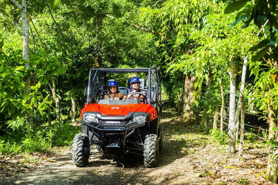 Bayahibe/La Romana: 4x4 Buggy and Monkeyland Tour - Driving a Honda Pioneer 700 through the backcountry