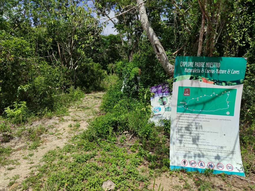 Bayahibe: National Park Jungle Walk & Snorkeling in Cenotes - Who should book this experience?