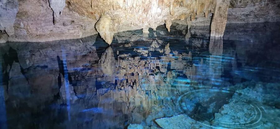 Bayahibe: National Park Jungle Walk & Snorkeling in Cenotes - A hot walk through Cotubanamá National Park