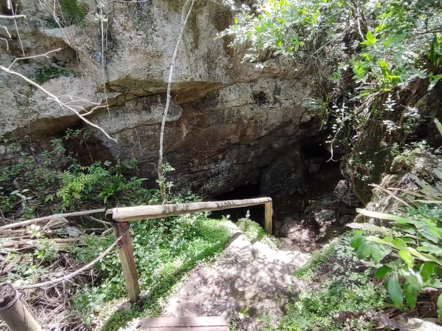 Bayahibe: National Park Jungle Walk & Snorkeling in Cenotes - The snack and the ride back