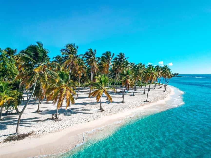 Bayahibe: Saona Island Catamaran Cruise with Natural Pool - Key points to know before booking