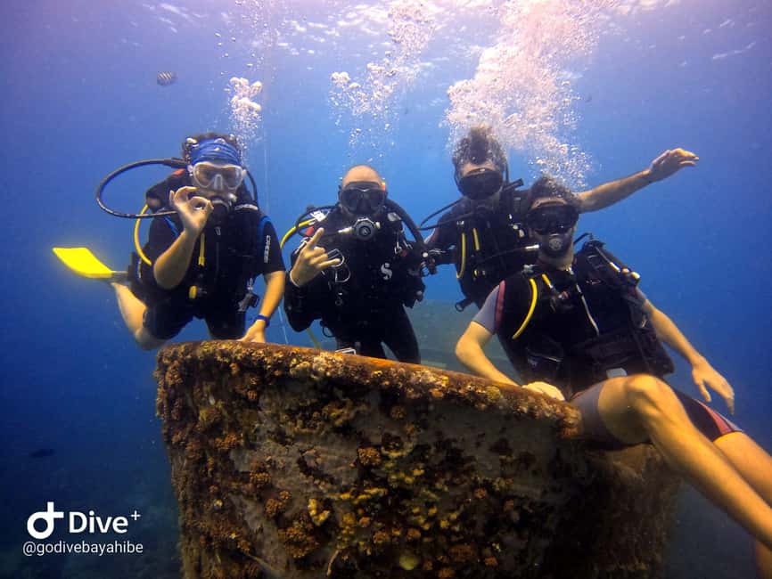 Bayahibe: Scuba Diving Initiation by Go Dive Bayahibe - A calm start at Go Dive Bayahibe
