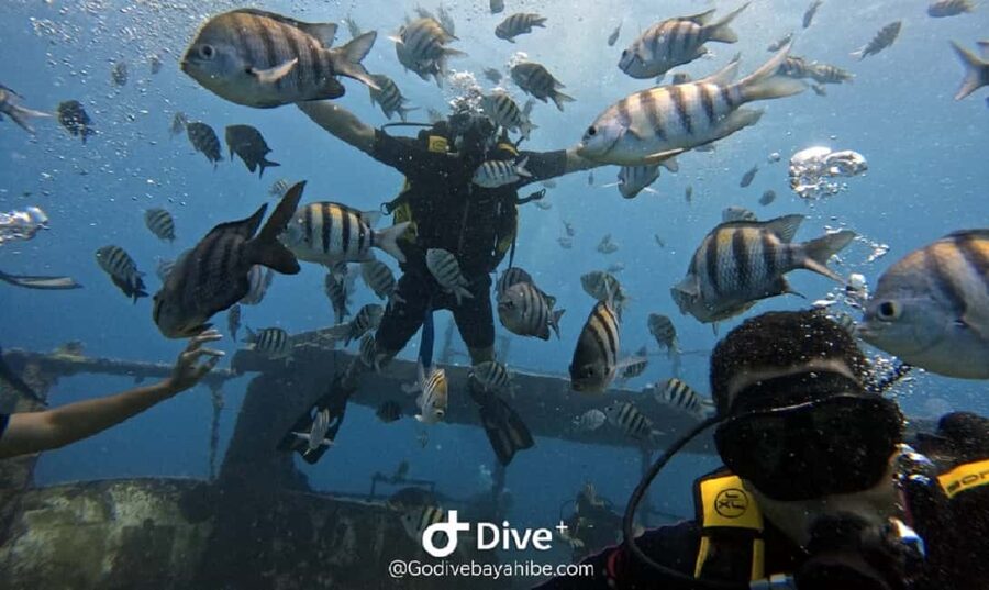 Bayahibe: Scuba Diving Initiation by Go Dive Bayahibe - From the beach to the catamaran
