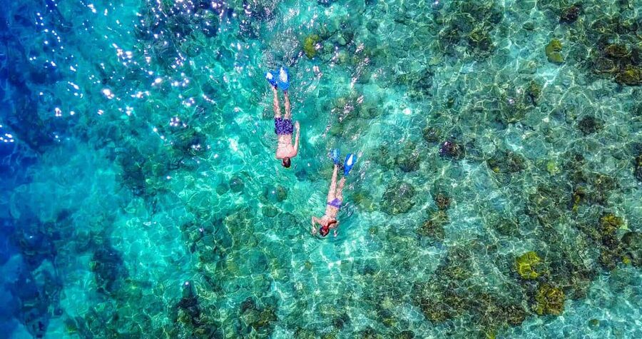 Bayahibe: Snorkeling Tour - Sea, Cotubanama park & Cenotes - Key points to know before booking