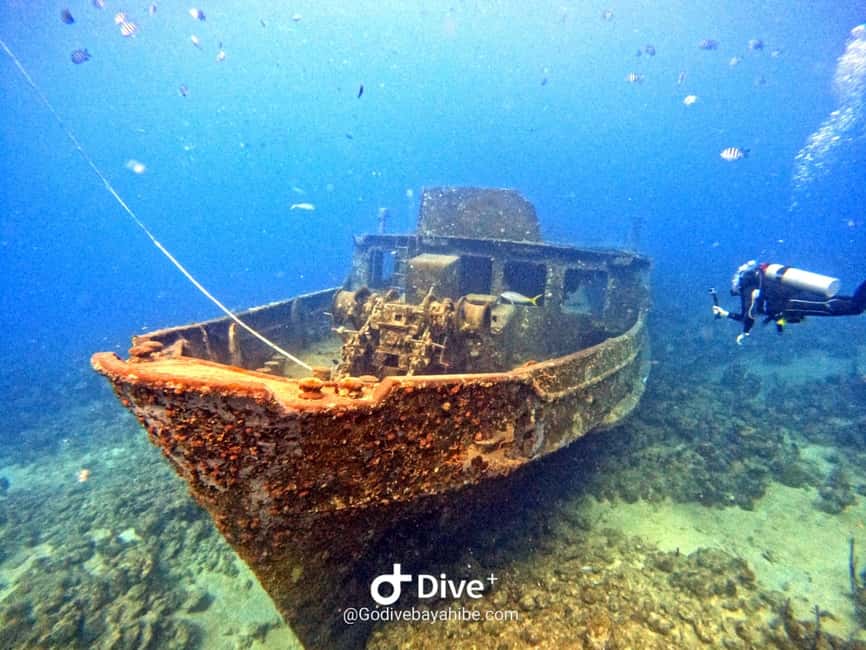 Bayahibe: Snorkeling Tour - Sea, Cotubanama park & Cenotes - Two sea stops near Bayahibe