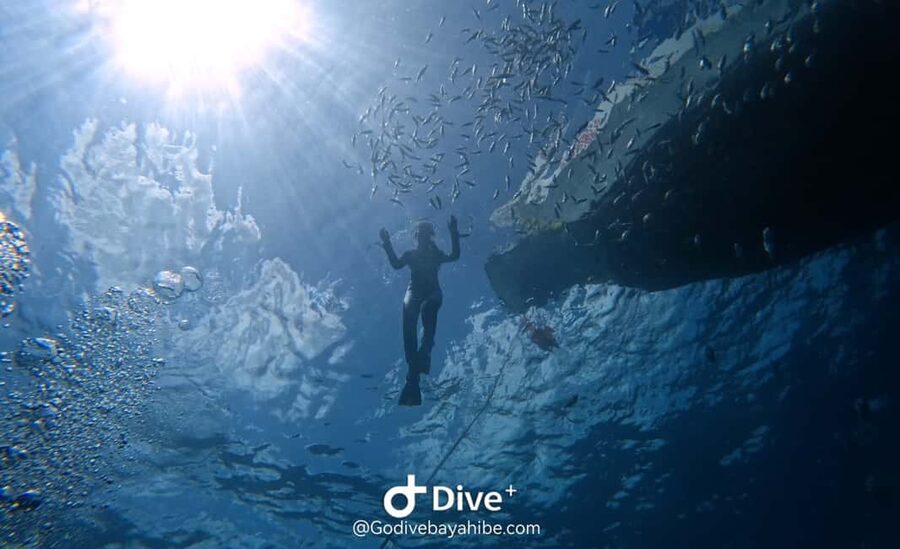 Bayahibe: Snorkeling Tour - Sea, Cotubanama park & Cenotes - Entering Cenotes Chicho by flashlight