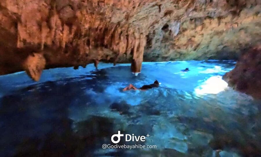 Bayahibe: Snorkeling Tour - Sea, Cotubanama park & Cenotes - The guides and the small-group feel