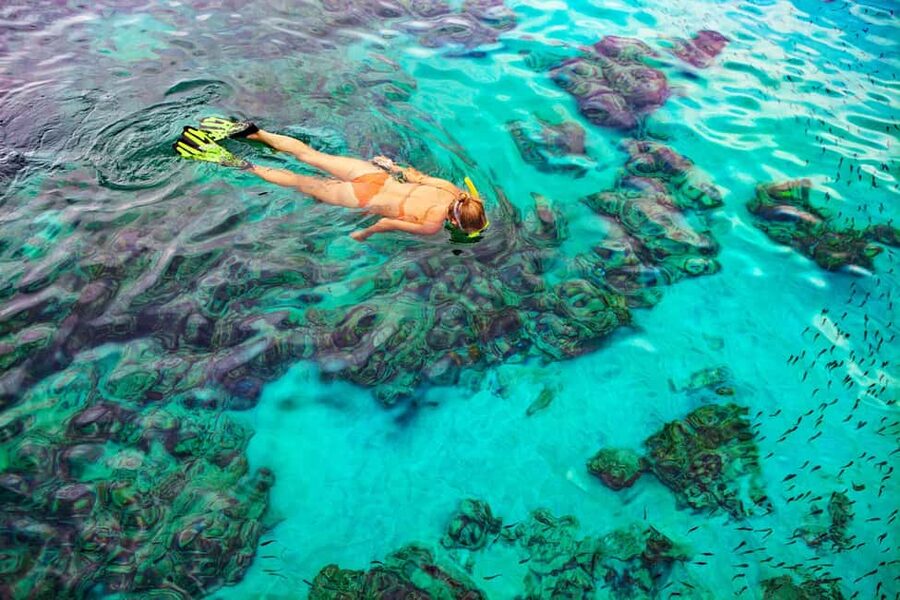 Bayahibe: Snorkeling Tour - Sea, Cotubanama park & Cenotes - Starting from Bayahibe or Dominicus