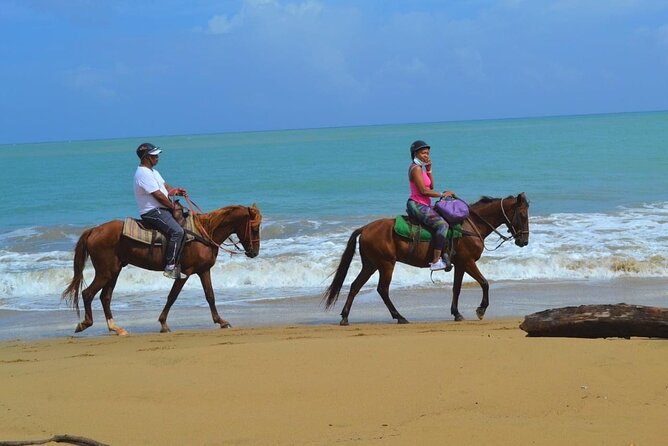 Beach Horse Ride with countryside amber cove & Taino Bay - The Dogs, the Guides, and the Human Touch