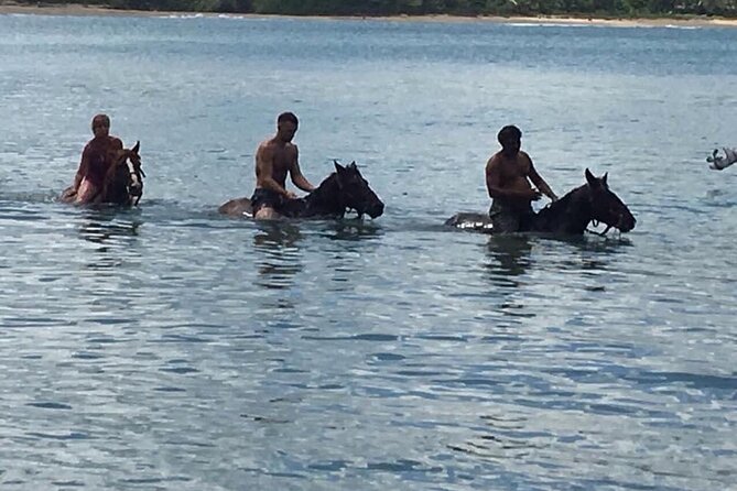 Beach Horse Ride with countryside amber cove & Taino Bay - Timing, Weather, and Cancellation Details
