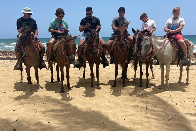 Beach Horseback Ride Tour at Punta Cana - Who should book this ride?