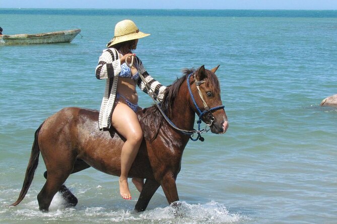 Beach Horseback Ride Tour in Puerto Plata - Scenic & Fun for All - Key points to know before booking