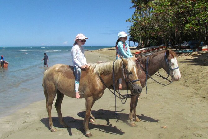 Beach Horseback Ride Tour in Puerto Plata - Scenic & Fun for All - A simple beach bar stop