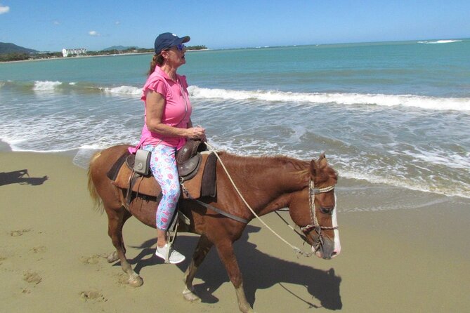Beach Horseback Ride Tour in Puerto Plata - Scenic & Fun for All - What $70 buys you