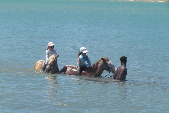 Beach Horseback Ride Tour in Puerto Plata - Scenic & Fun for All - Safety, comfort, and who should book