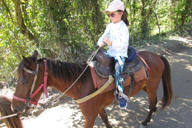 Beach Horseback Ride Tour in Puerto Plata - Scenic & Fun for All - Getting comfortable in the saddle