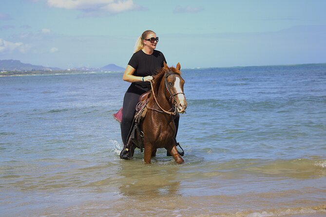 Beach Horseback Riding and Swim Horse in Puerto Plata - Key points to know before you book