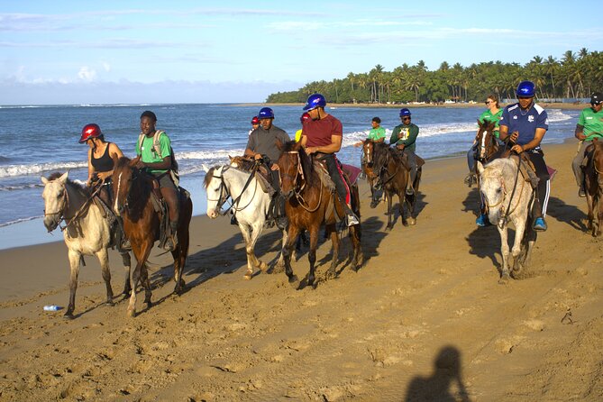 Beach Horseback Riding and Swim Horse in Puerto Plata - Choosing a horse for your riding level