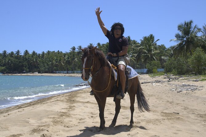 Beach Horseback Riding and Swim Horse in Puerto Plata - One hour through Puerto Plata’s natural routes