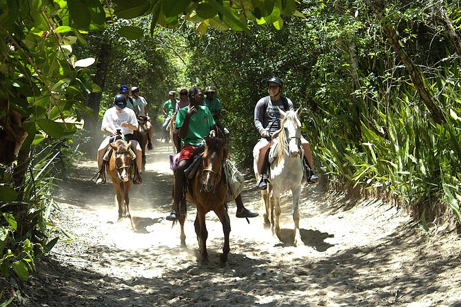 Beach Horseback Riding and Swim Horse in Puerto Plata - What is included for $79